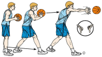 Image of DASAR-DASAR BOLA BASKET
